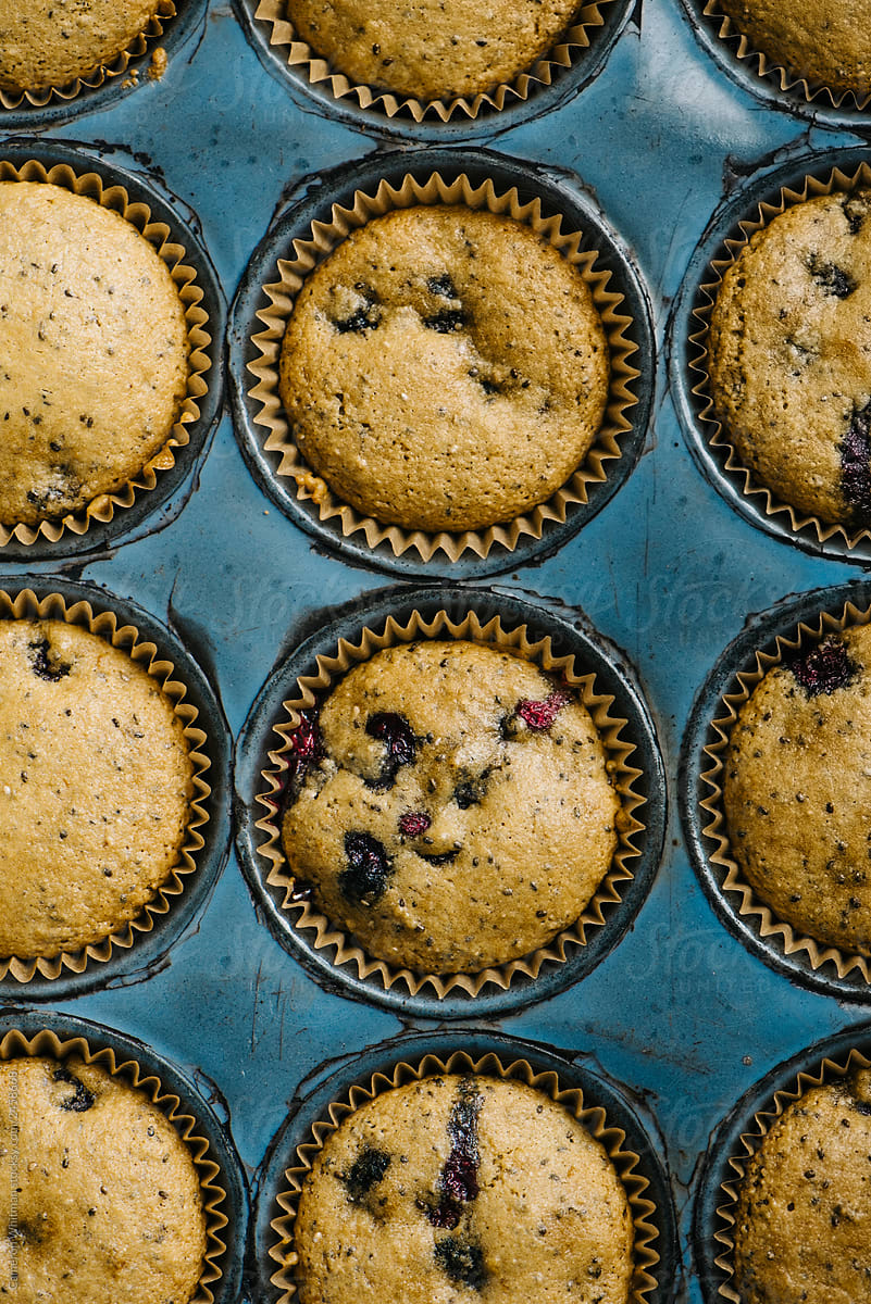 Close up blueberry muffins in the pan