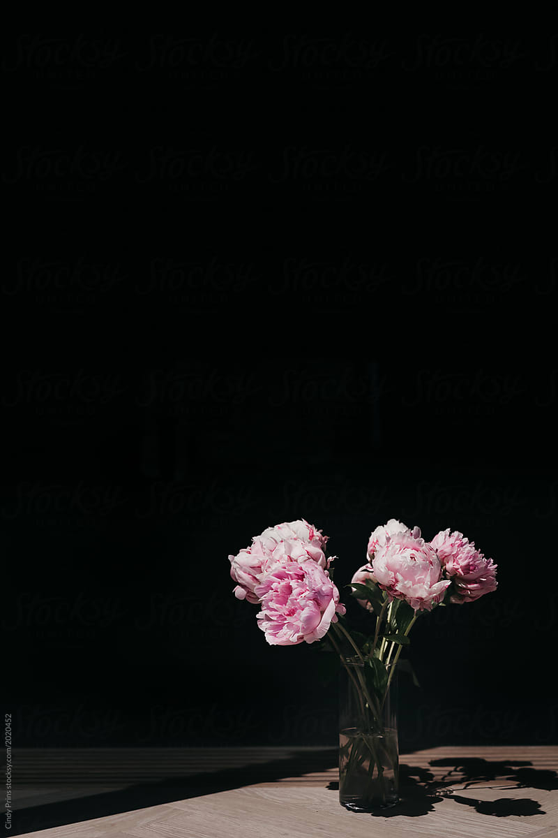 A Glass Vase With Pink Peony Flowers Del Colaborador De Stocksy