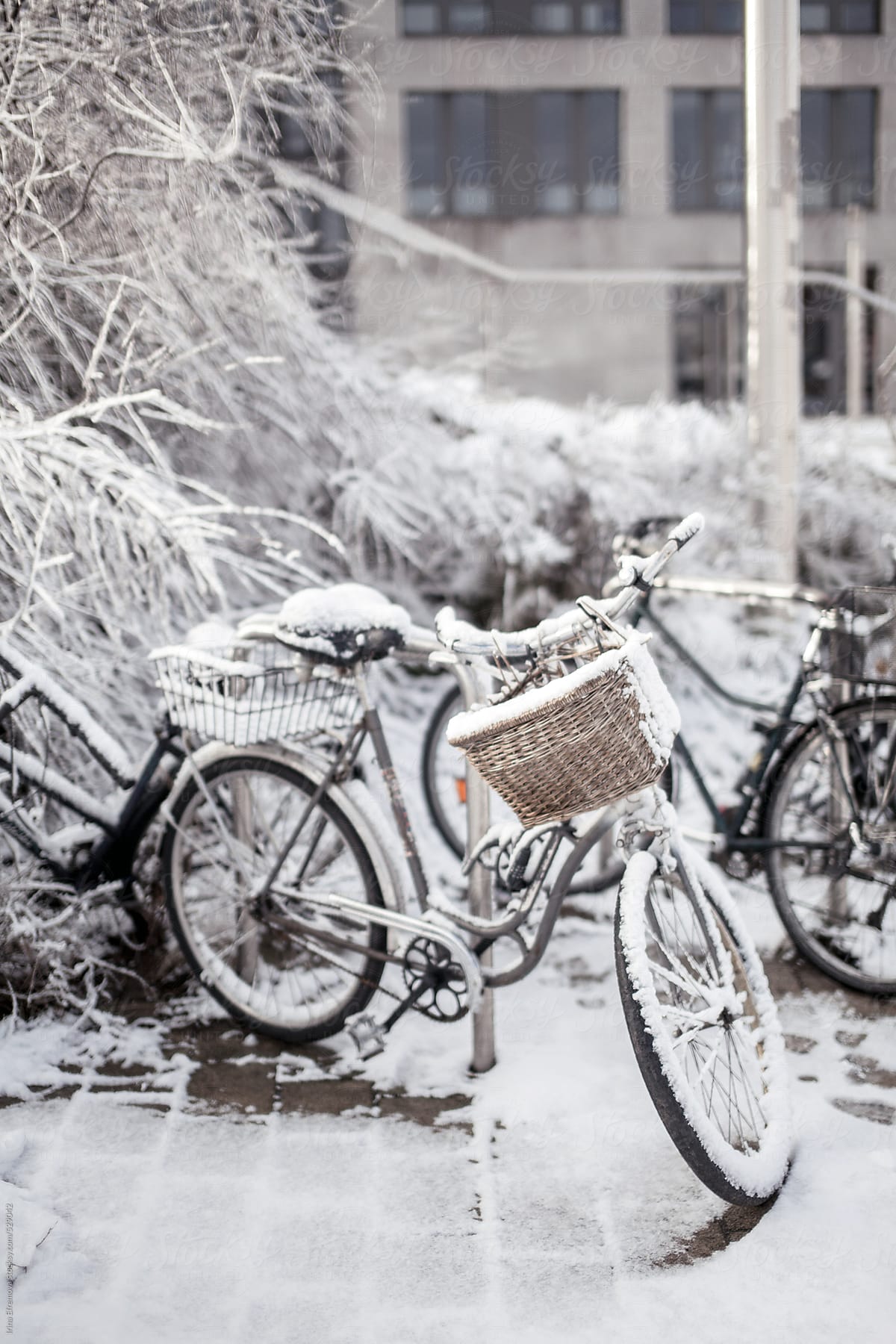 Bicycle under snow