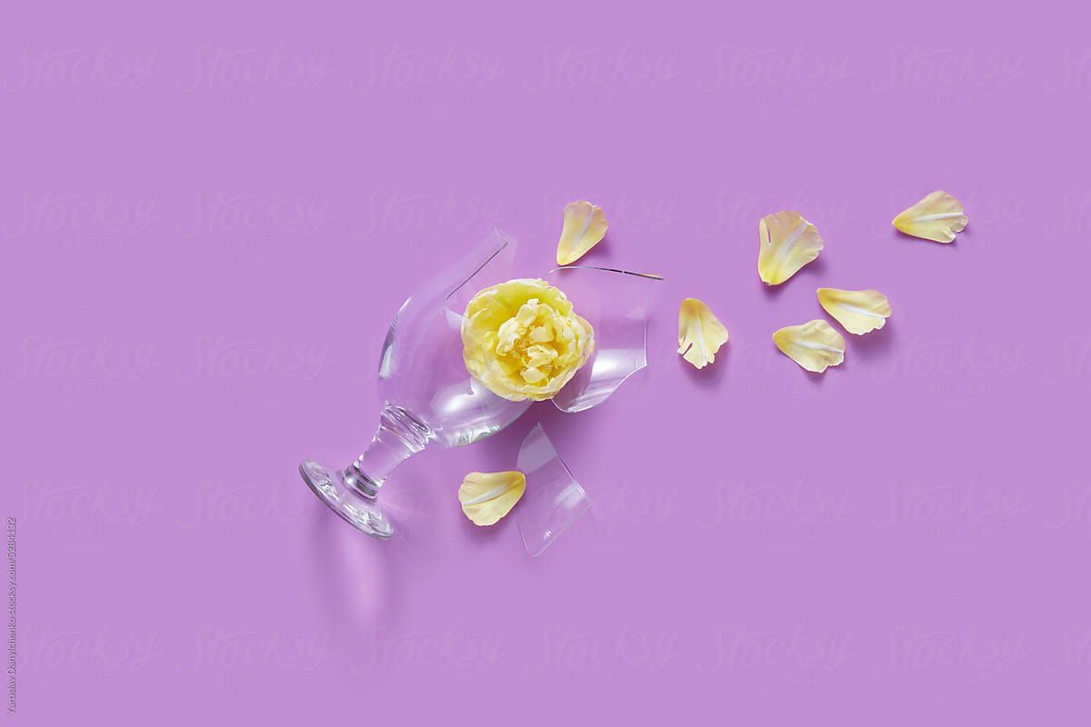 Broken glass with tulip flower and scattered petals.