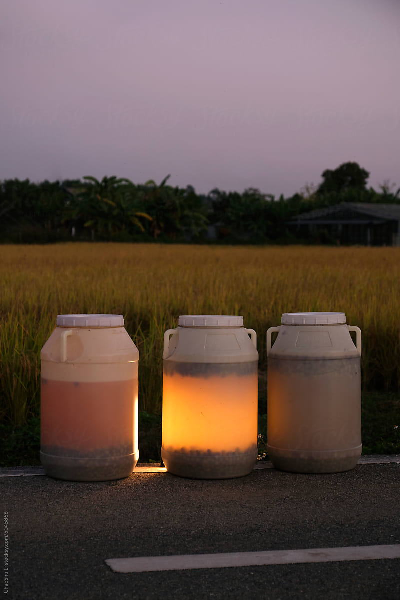 Closeup of barrels with enzymes. for watering rice fields