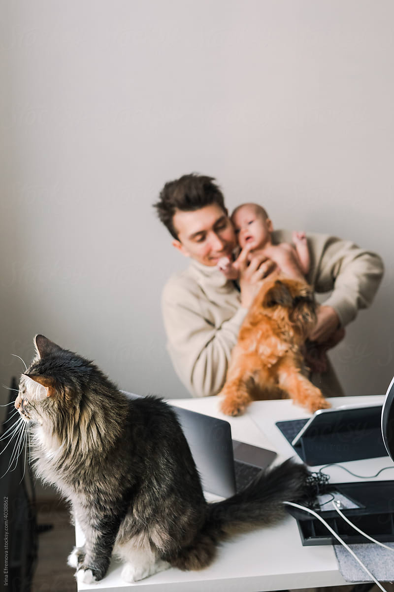Man with a child, cat and a dog trying to work