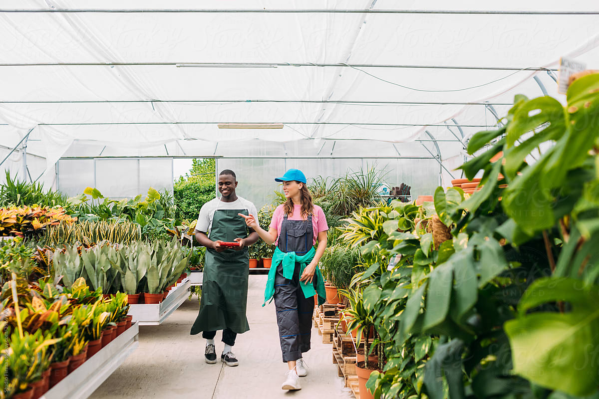 Workers in Greenhouse
