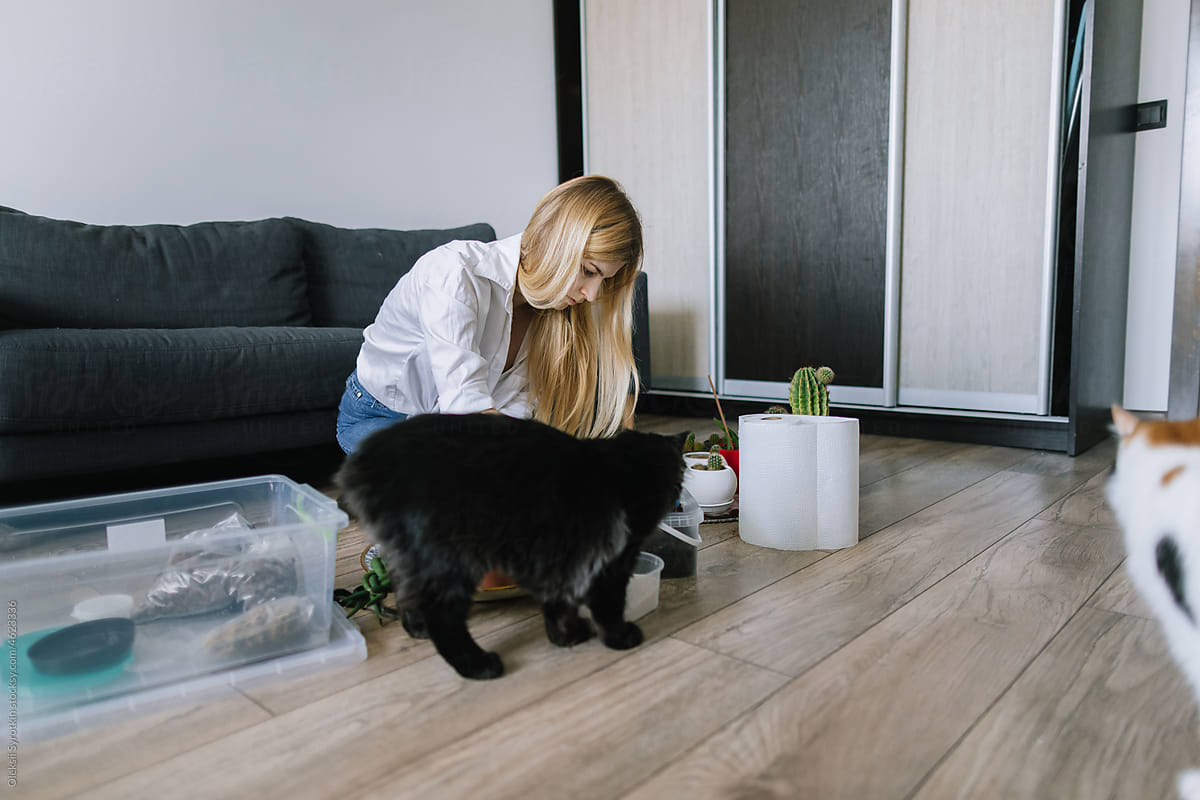 Pets showing interest to hobby of owner and diverting her from process