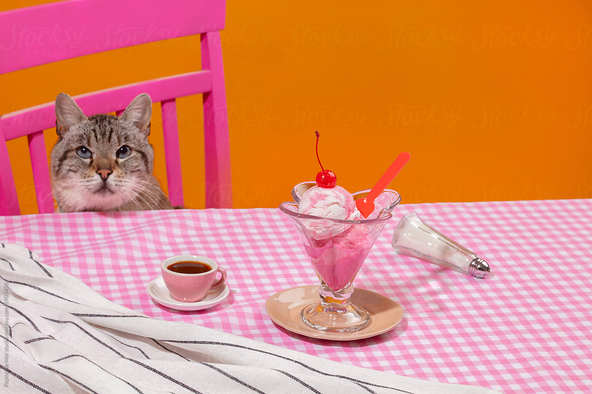 Cat at the Dessert Table