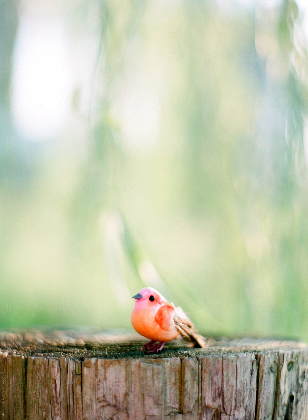 Small colorful bird sitting on top of a wooden post