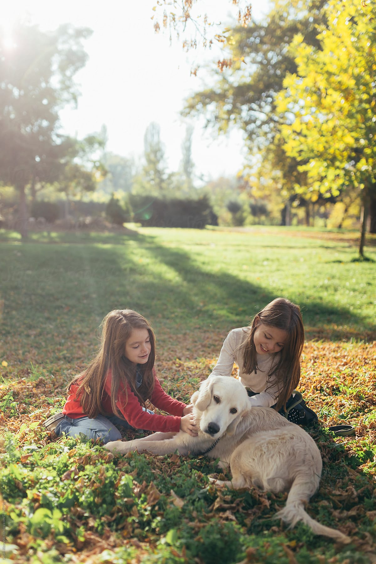 Children bonding with their Golden Retriever dog.