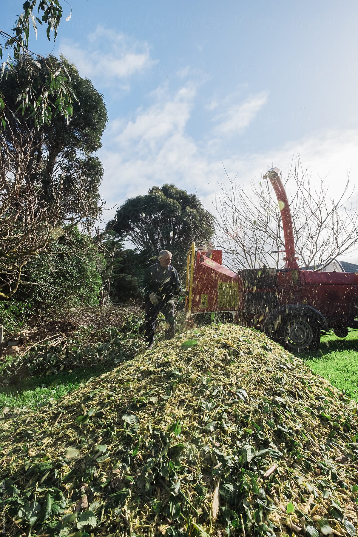Man operating a mulching machine and creating large pile of chopped leaves and branches
