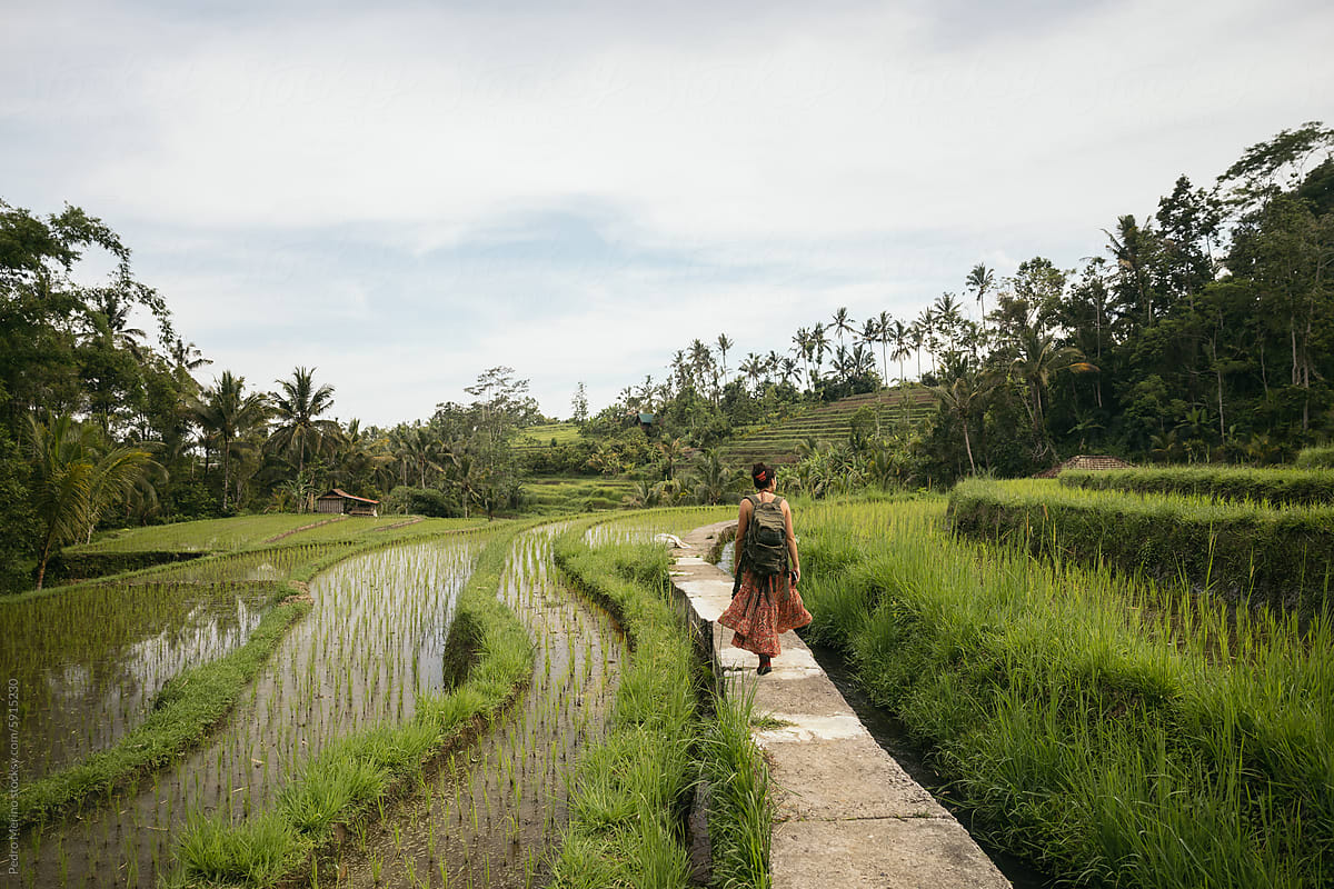 Exploring Jatiluwih Rice Fields