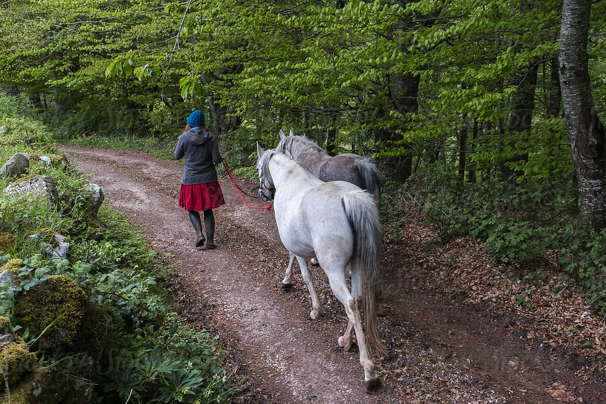 relaxed, walking with two horses