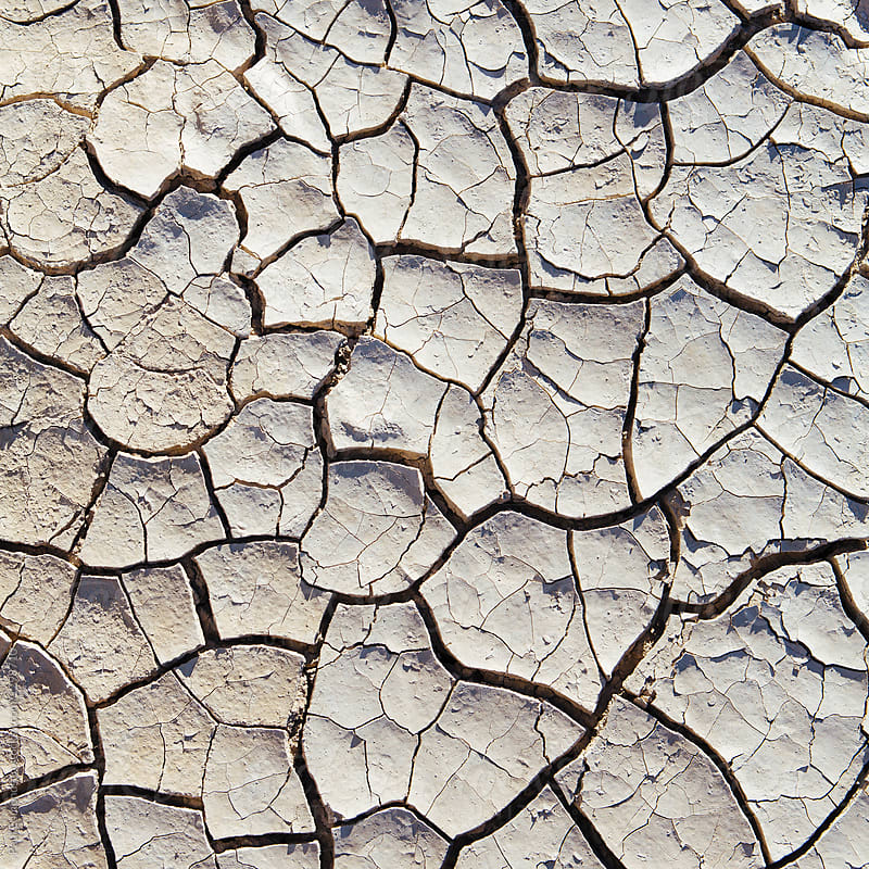 Detail of cracked earth from the Black Rock Desert
