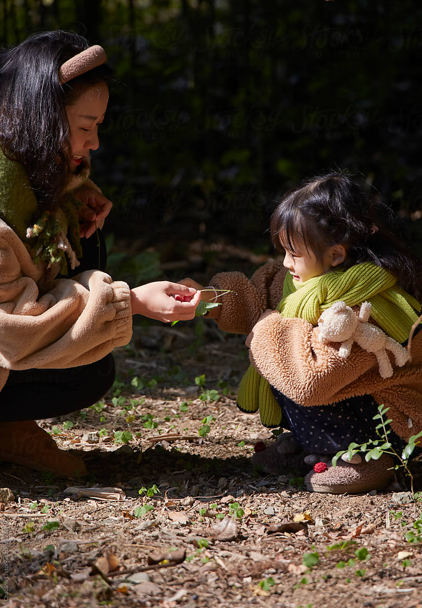 Asian mothers and daughters study plants in outdoor forests