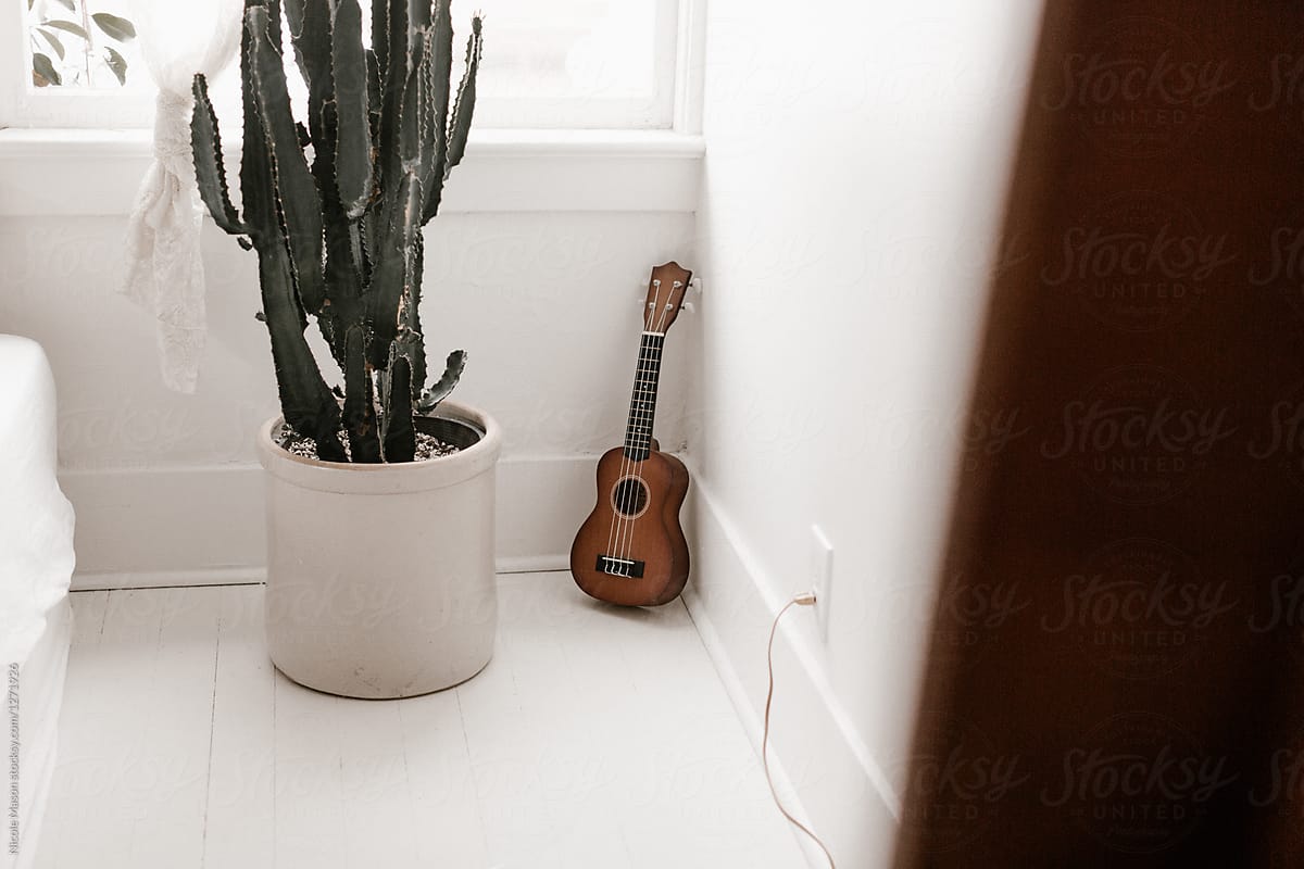 ukulele sitting in corner of white room next to plant