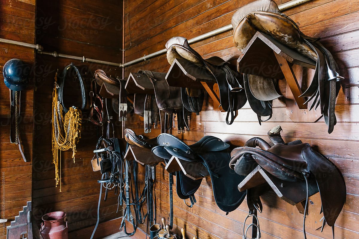 Horse Saddle in Tack Room
