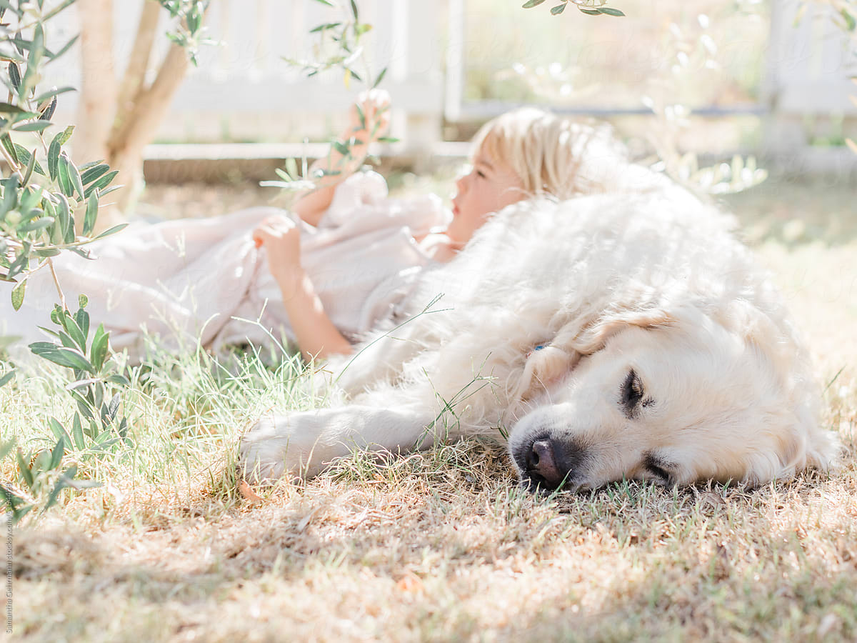 little girl lazily plucks at olive leaves while laying on her dog