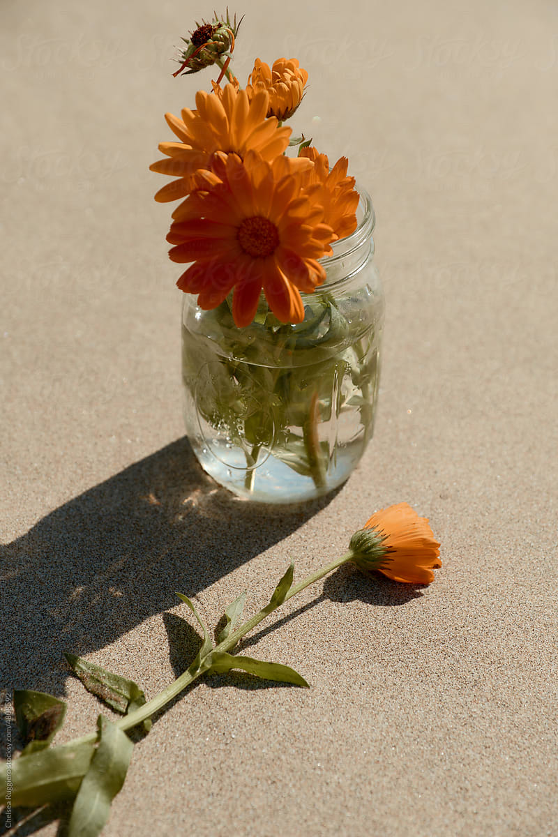 Orange calendula flowers in a glass jar on the sandy beach