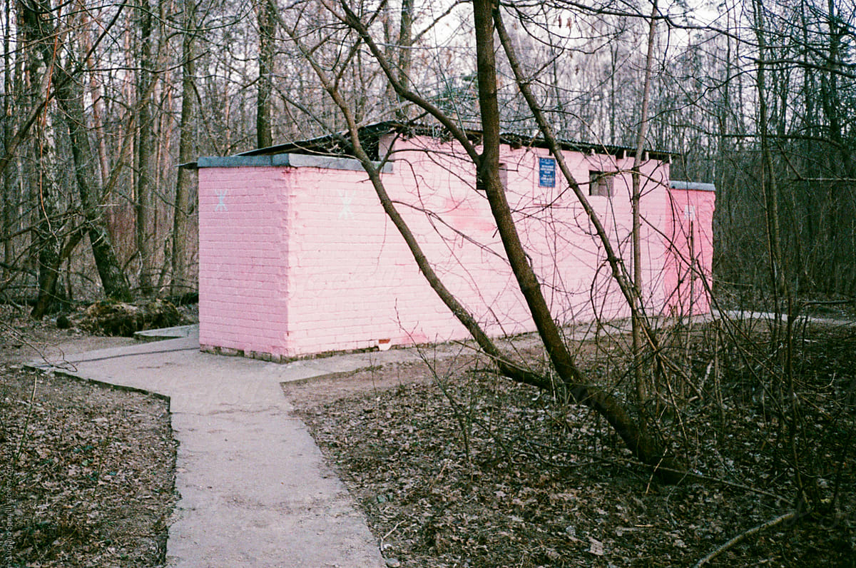 Pink toilet in the middle of a forest in winter