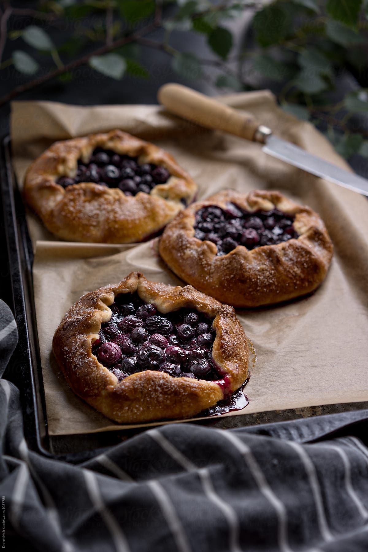 Blueberry pies. Freshly baked blueberry galettes on a baking tray.