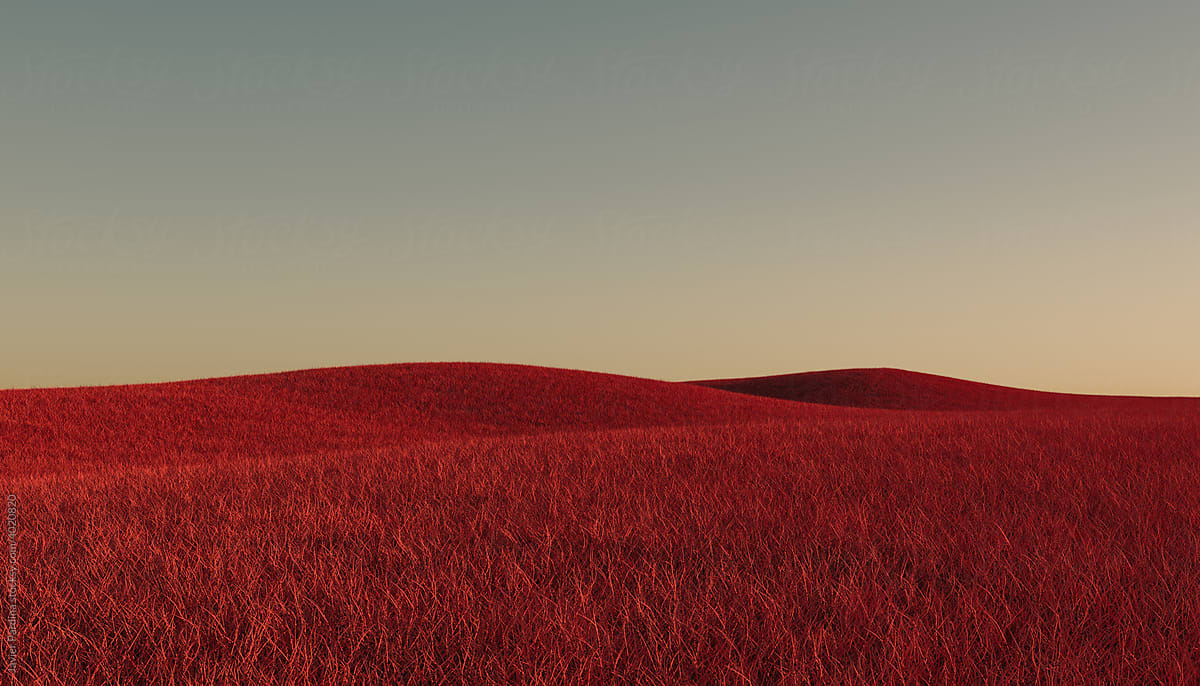 Red grass meadow