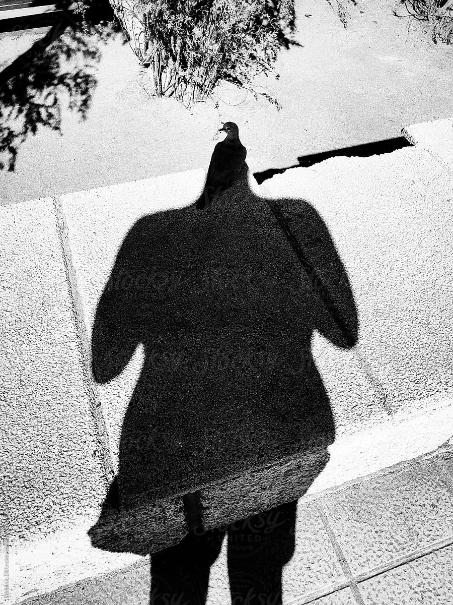 Human shadow with turkey appareance.