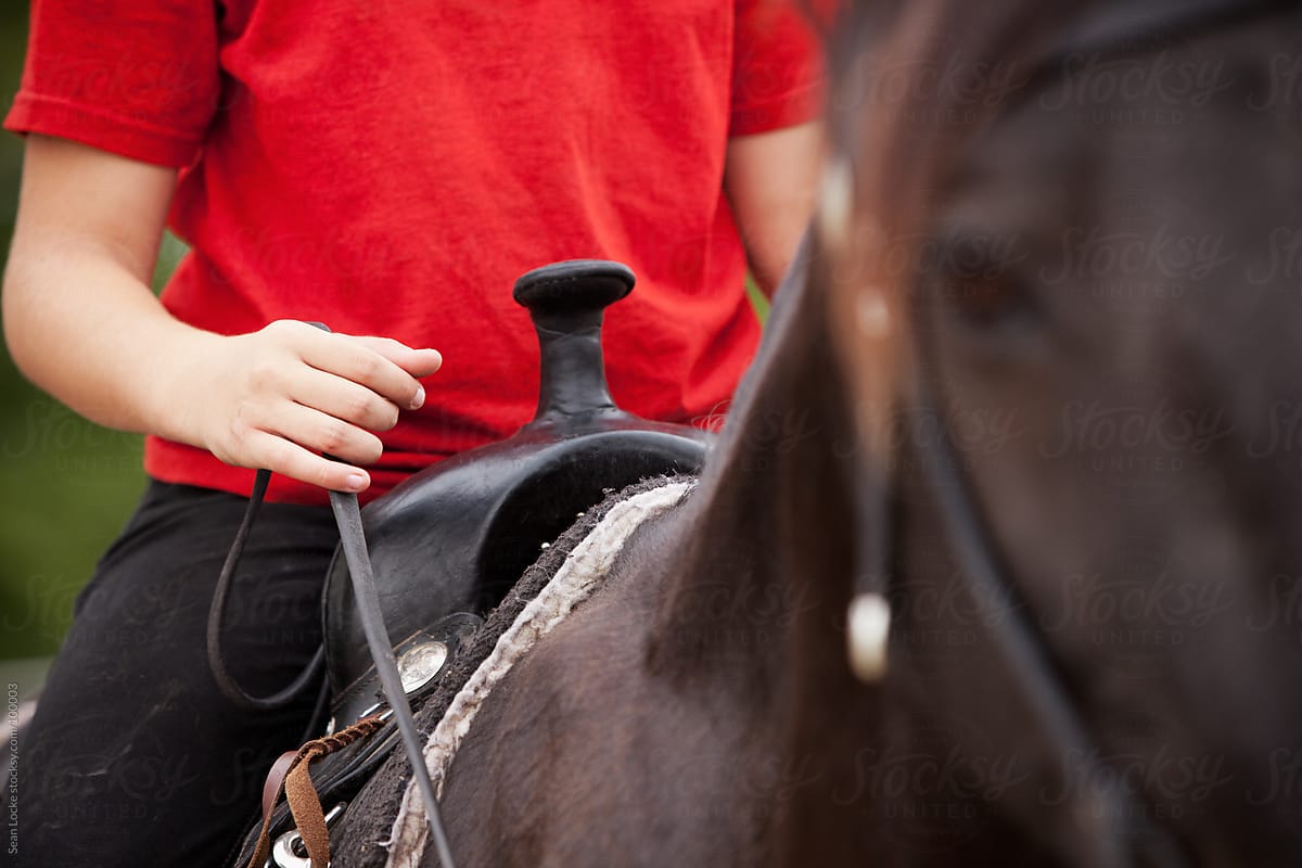 Equestrian: Focus on Hands Holding Reins