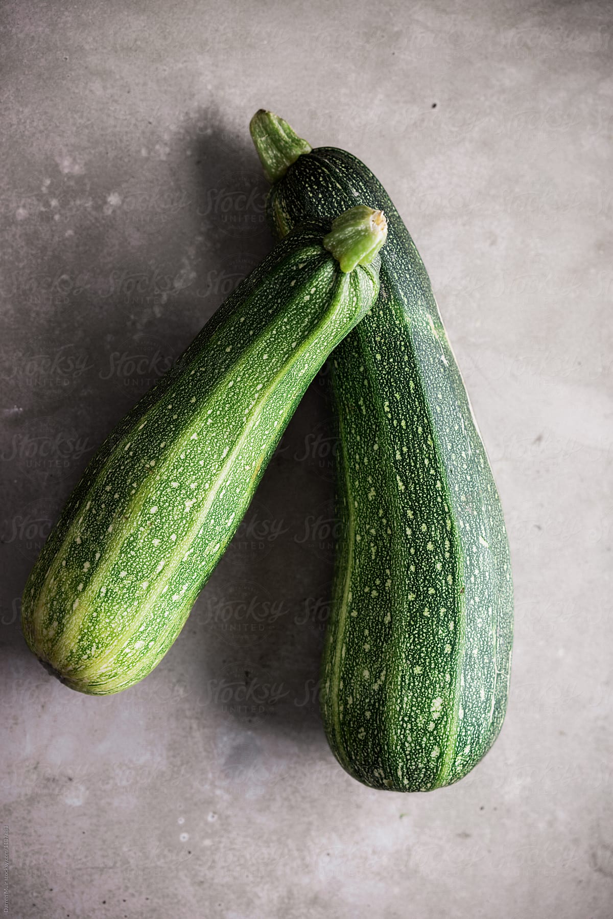 Two homegrown marrow on concrete background.