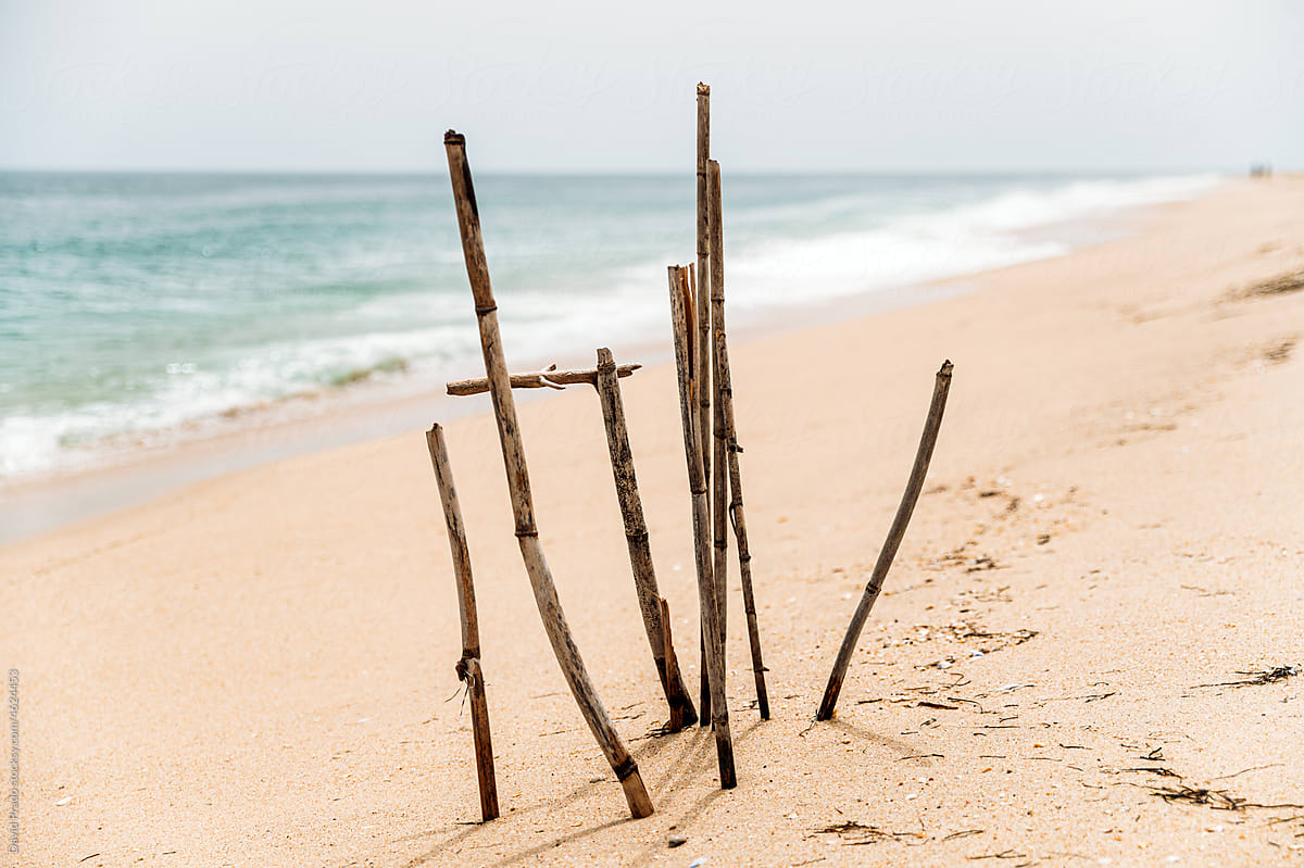 Wooden sticks on sandy beach