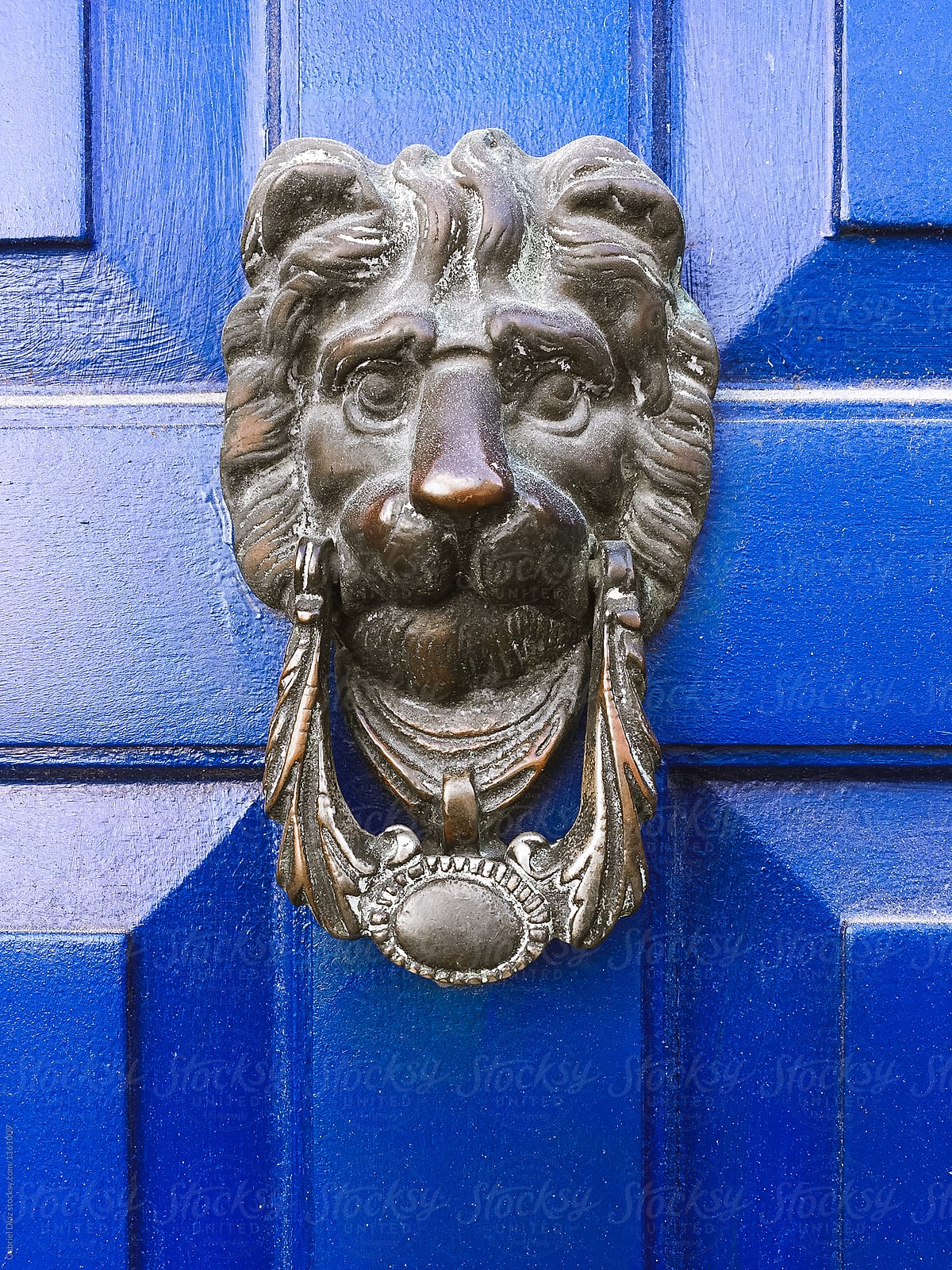 Bronze lion door knocker isolated in blue door