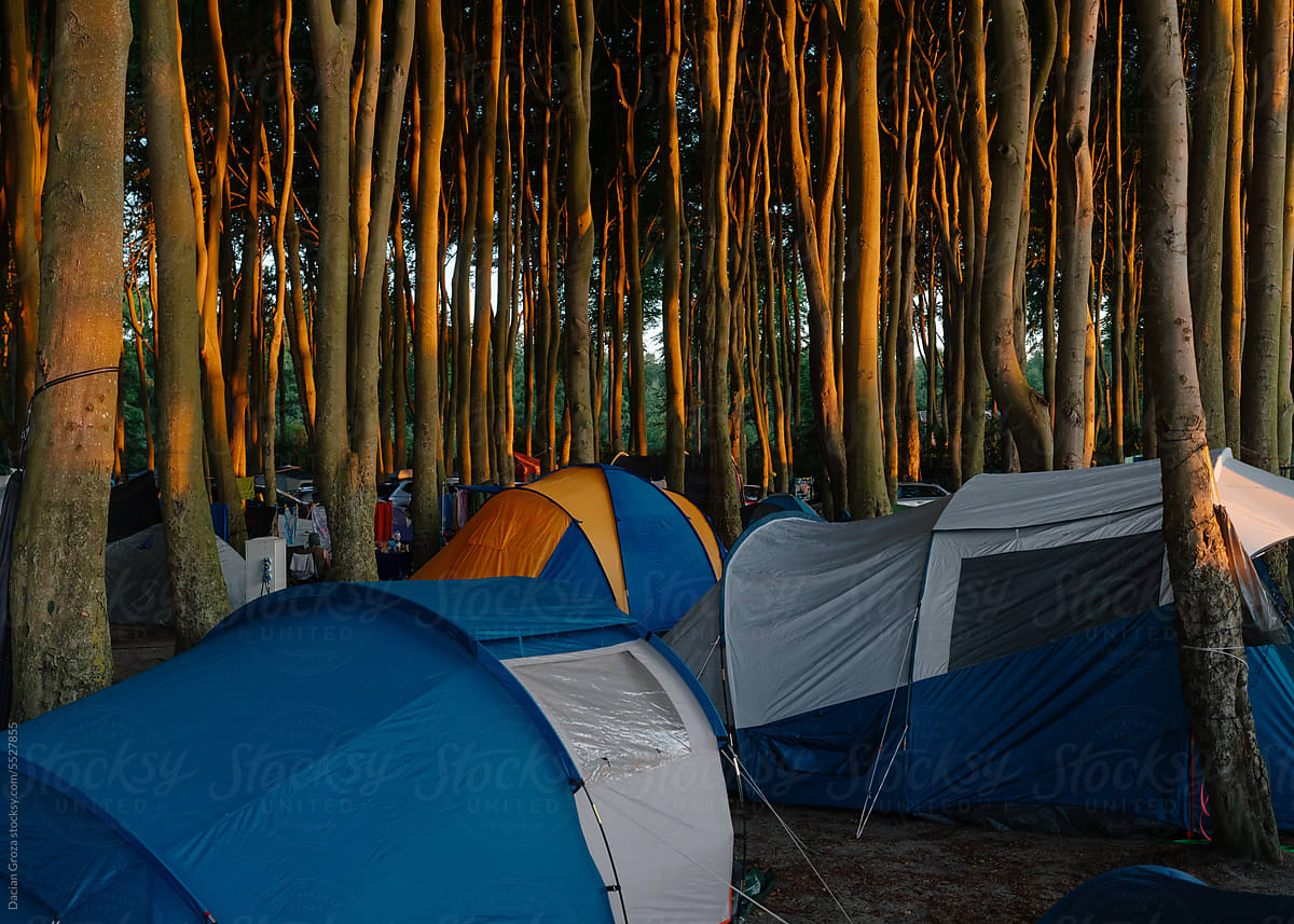Camping at dusk