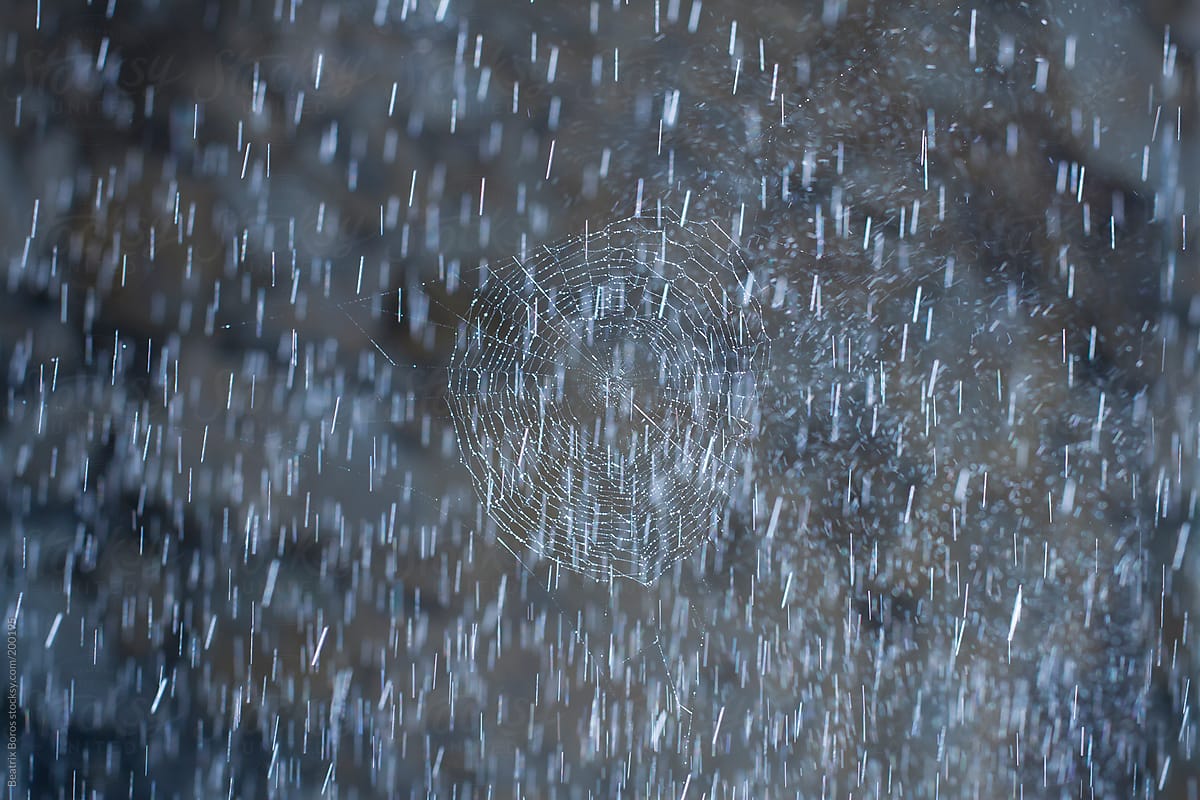 Backlit blurry cobweb sprinkled by water