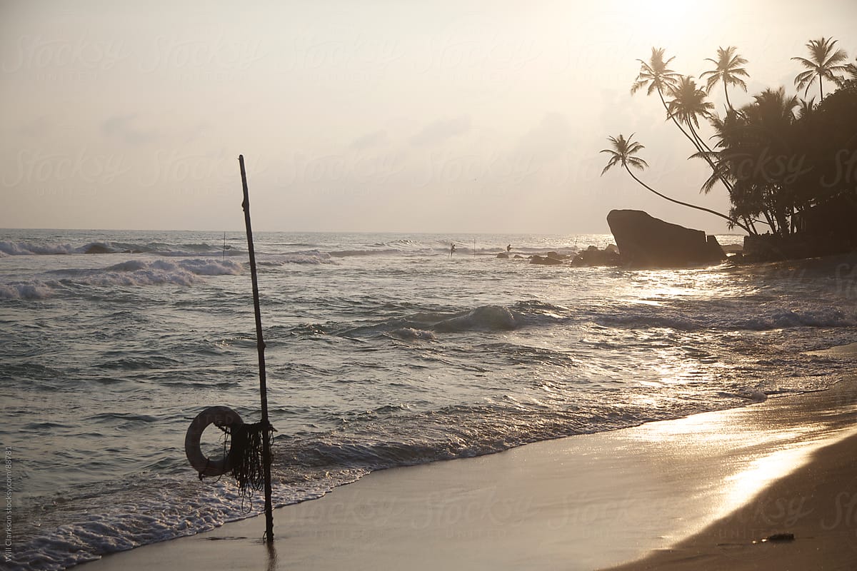 Sunset On A Beach With Palm Trees And A Fishing Pole by Stocksy  Contributor Will Clarkson - Stocksy