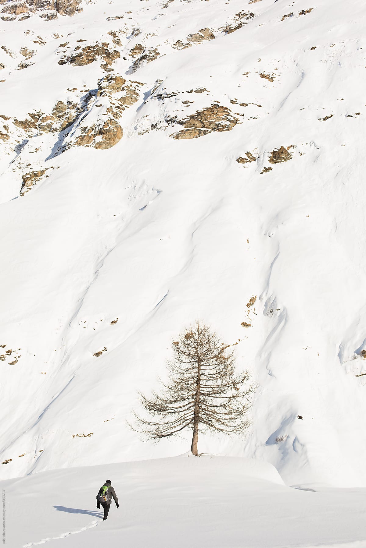 Man walking to the tree in the mountain