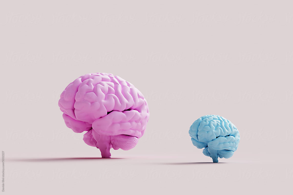 Human brains Anatomical Model Pattern on pink background. 3d rendering