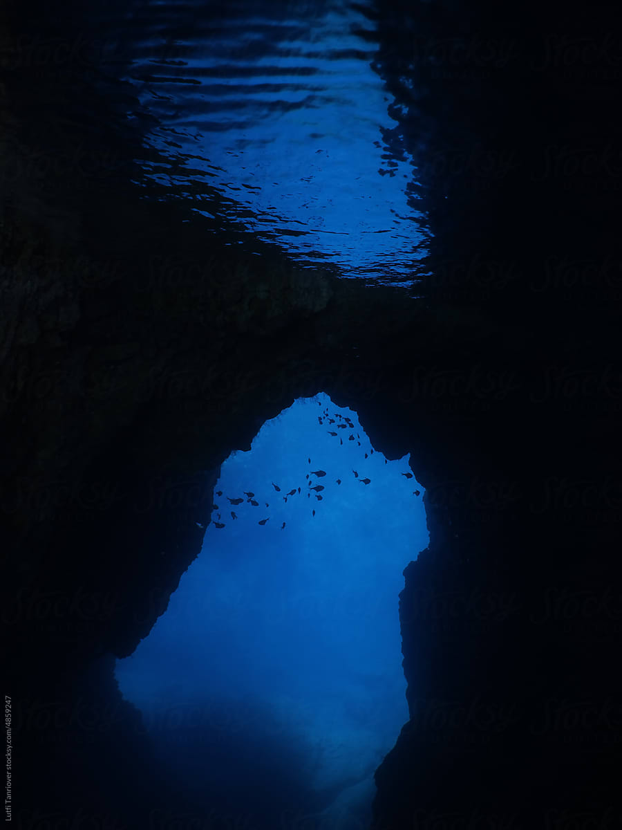 cave underwater  fish in in blue water ocean scenery school of fish