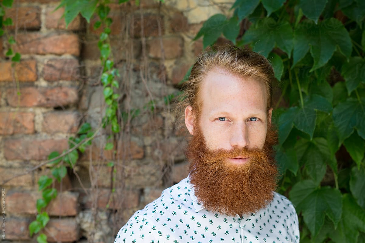 Man With Long Red Beard Portrait Against Brik Wall" by Stocksy Contributor "Studio Serra" Stocksy