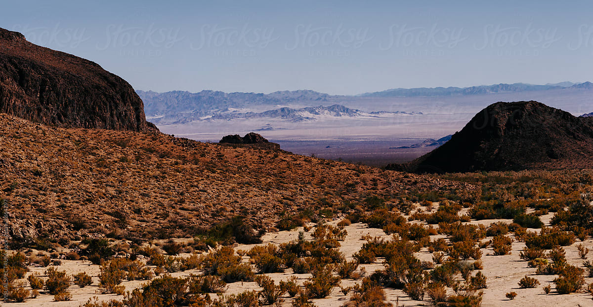 Beautiful Mojave Desert Landscape