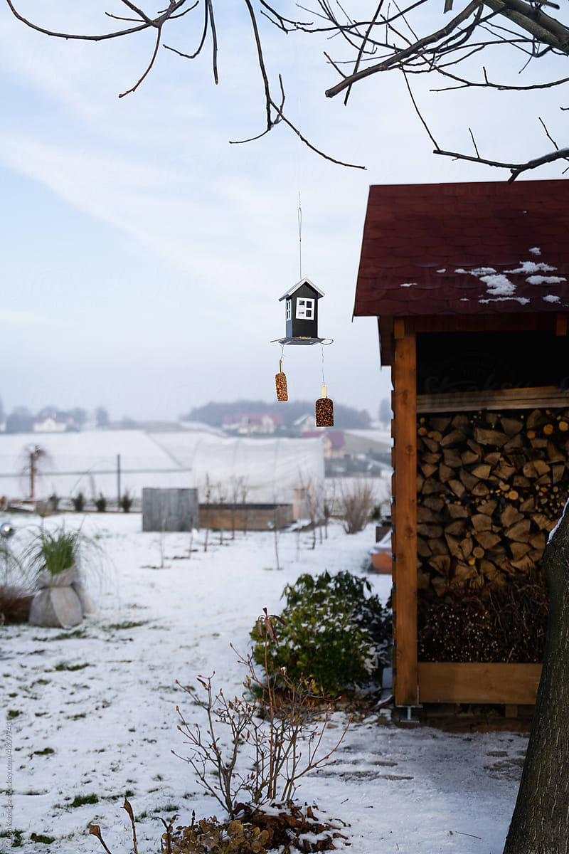 Cute Birdhouse In Garden In Winter Time