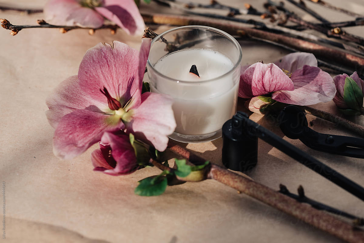 Natural coconut wax candle and pink flowers