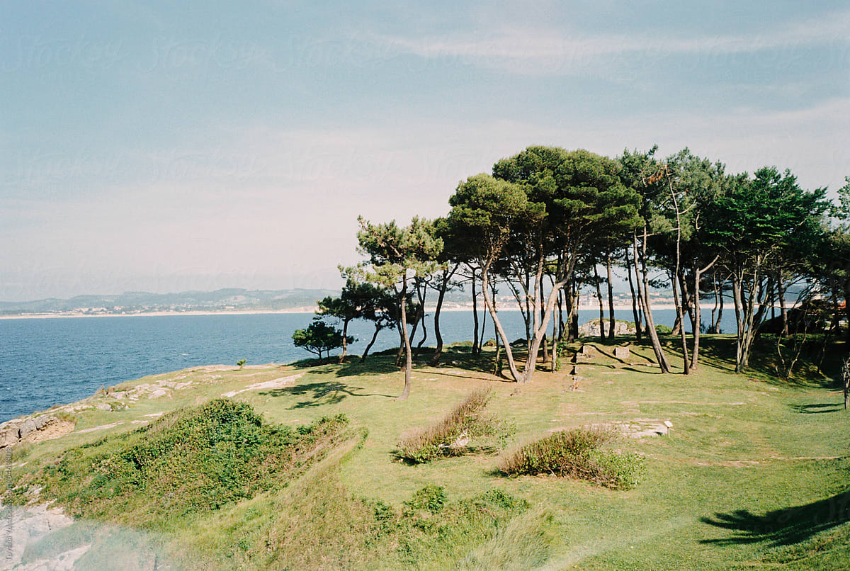 green hill with trees near the sea