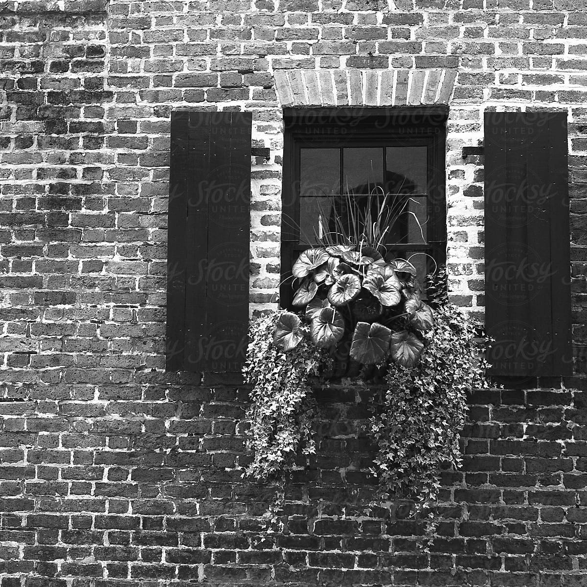 A Hanging Flower Basket Outside an Old Brick Building