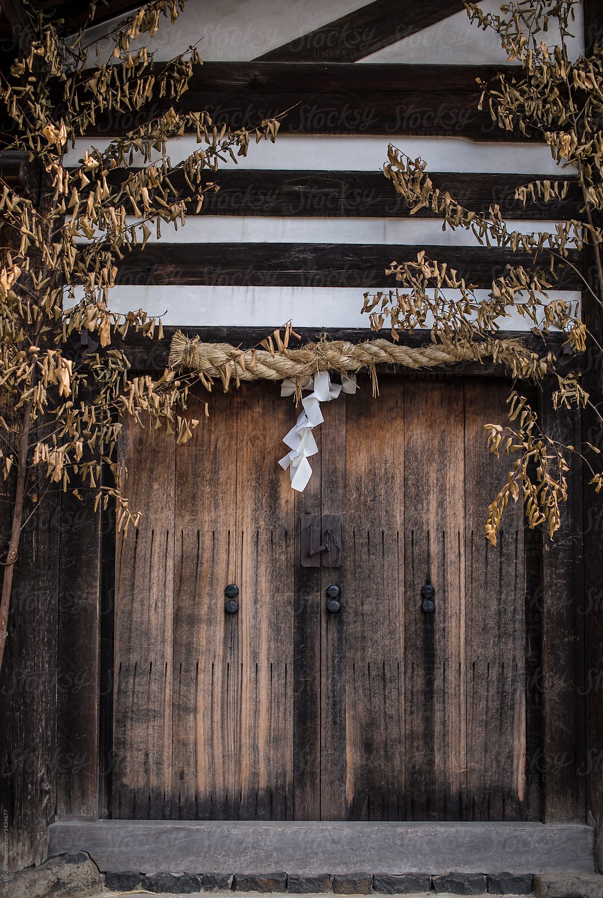 Wooden door with dry Sakaki trees.