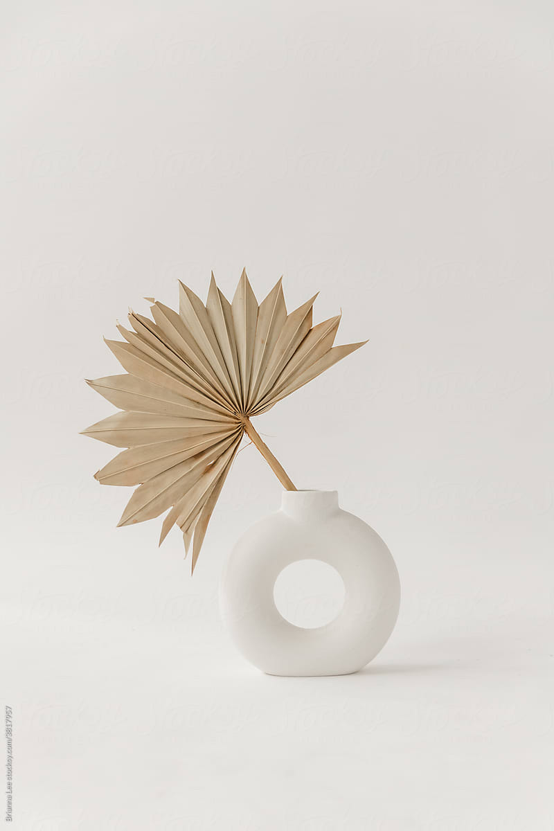 Dried palm in ceramic circle vase