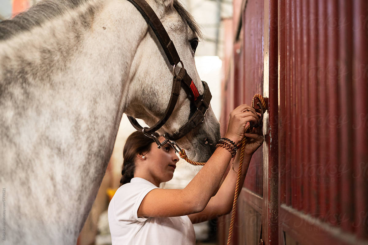 young girl with a horse  in equestrian therapy