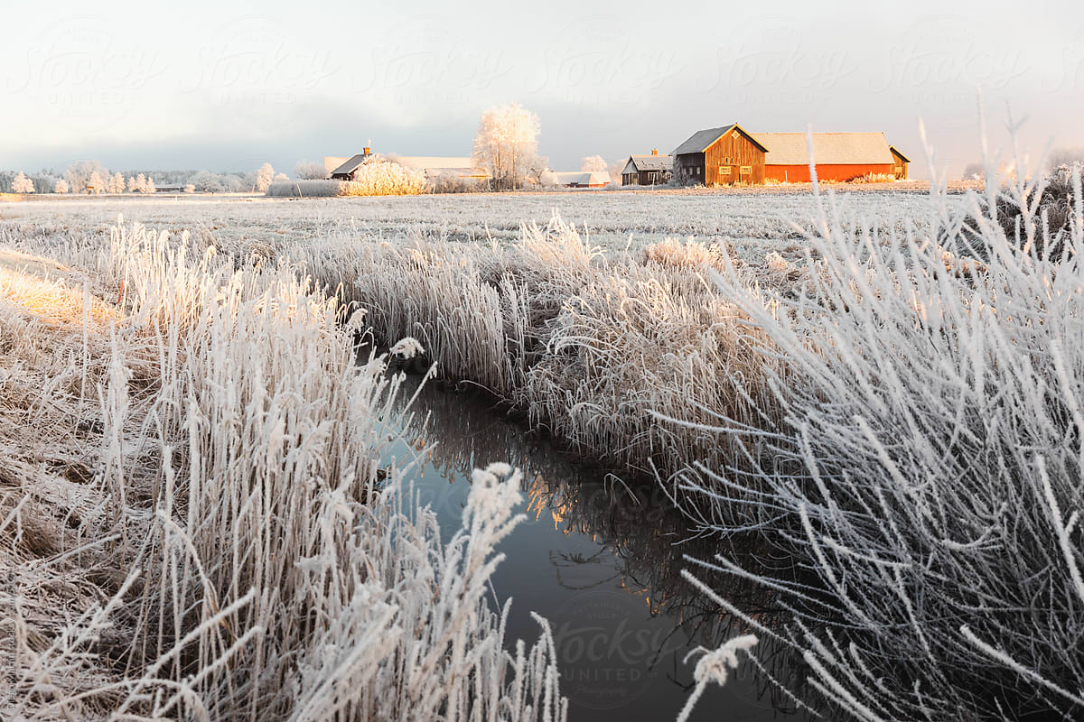 Stream in frosty morning in the countryside