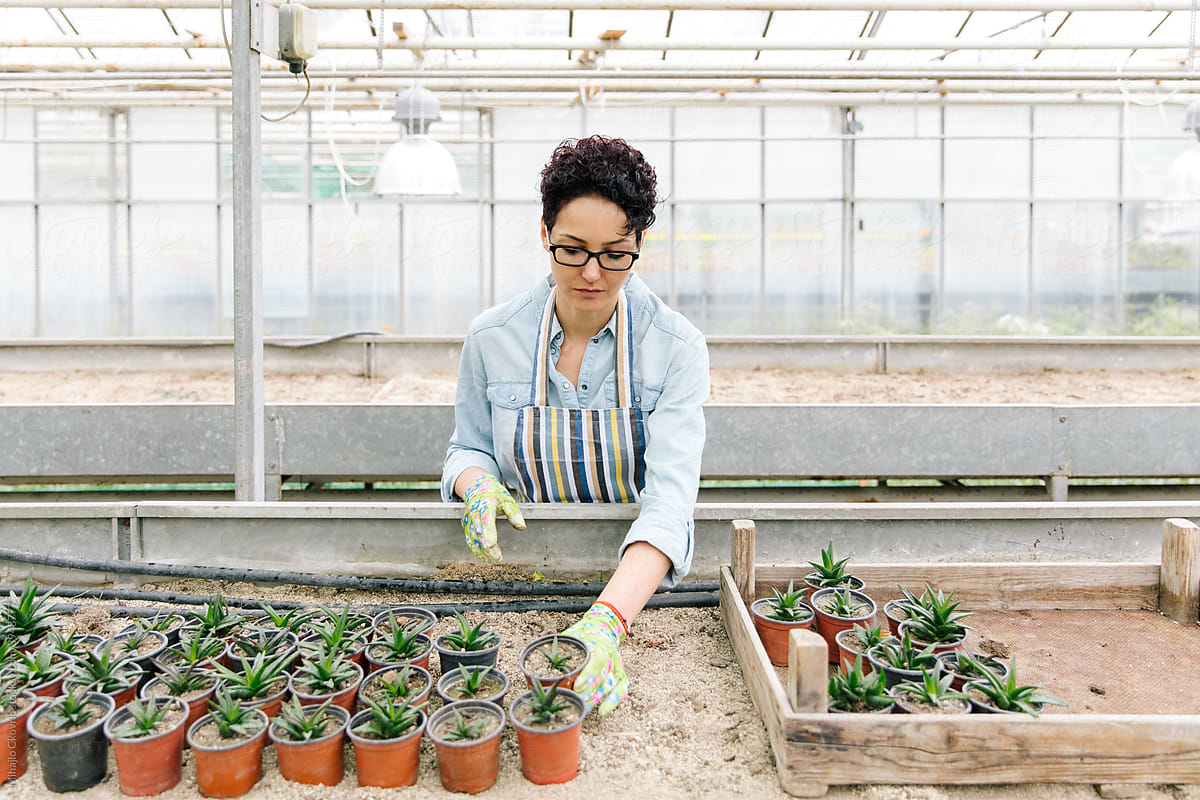 Mid Adult woman working in greenhouse