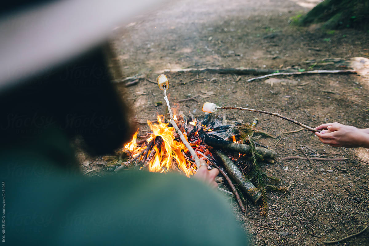 Hikers roasting marshmallows in a campfire.