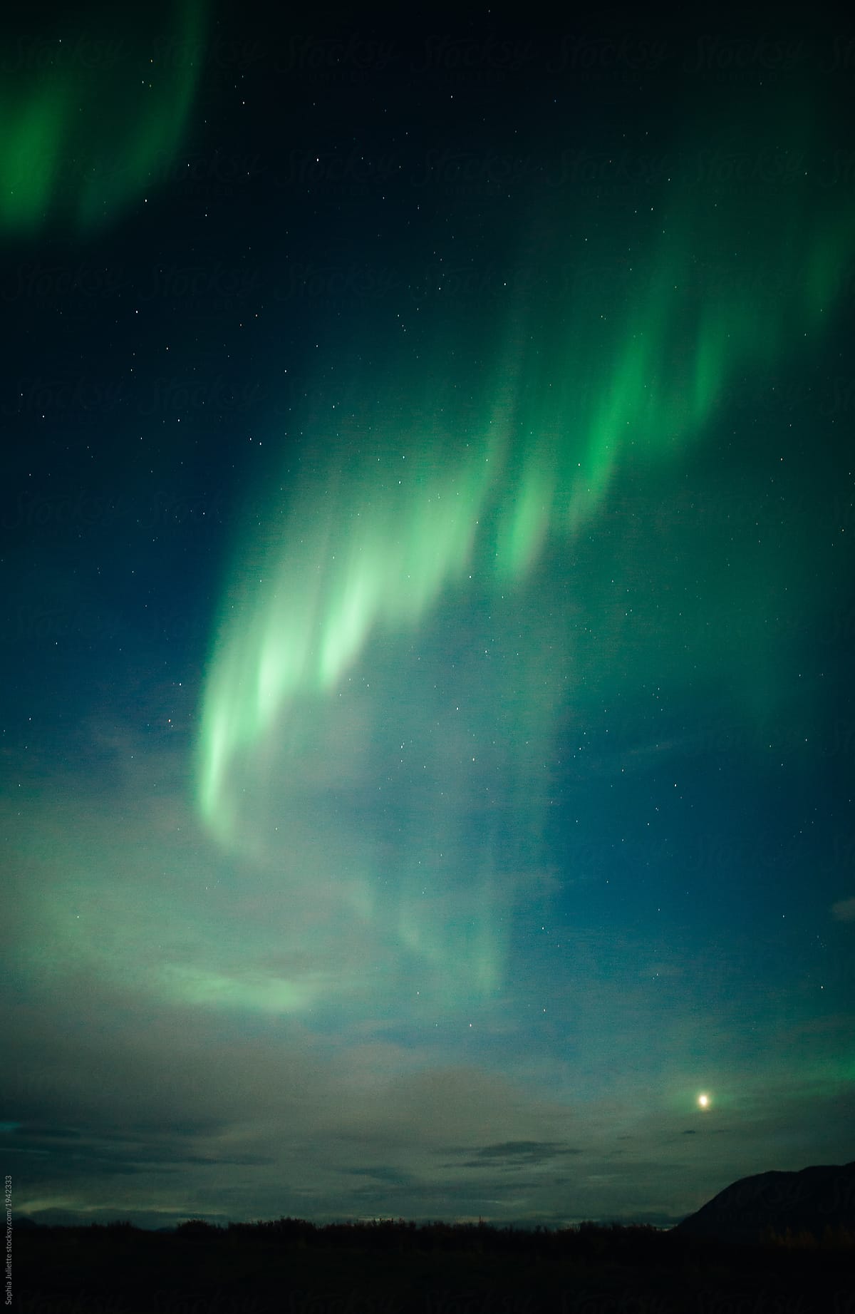 Vivid Aurora Borealis Shooting Through A Starry Night Sky In Alaska By Sophia Juliette Aurora Borealis Northern Lights Stocksy United