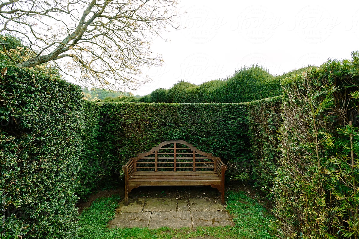 Hidden park bench
