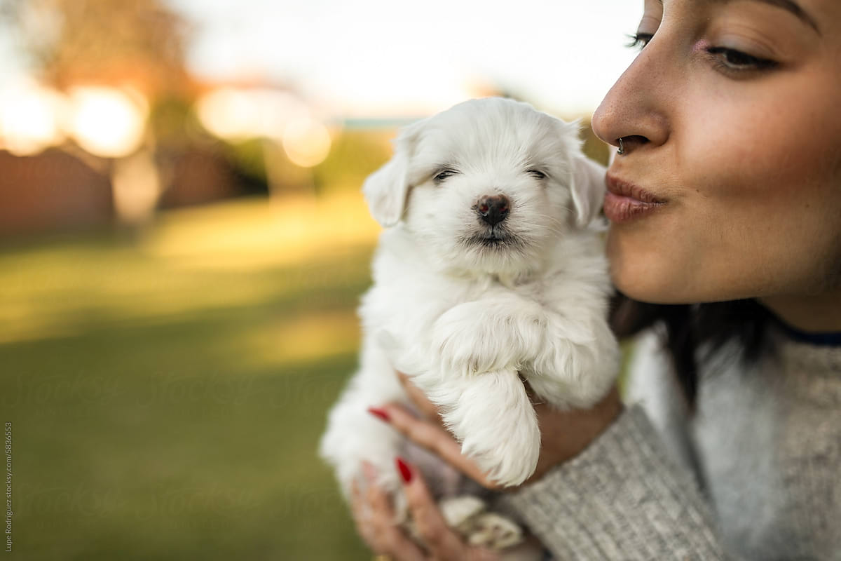 young woman holding adorable dog puppy giving him a kiss