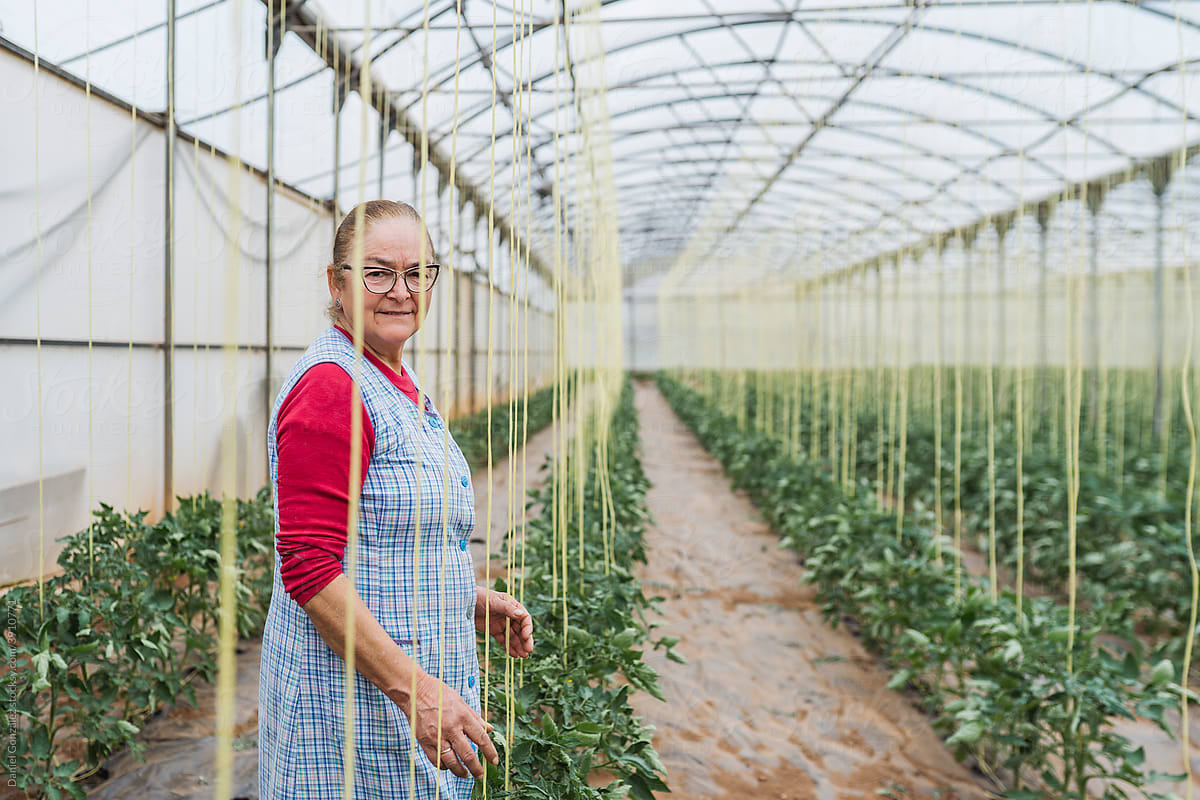 A senior woman farmer in a greenhouse